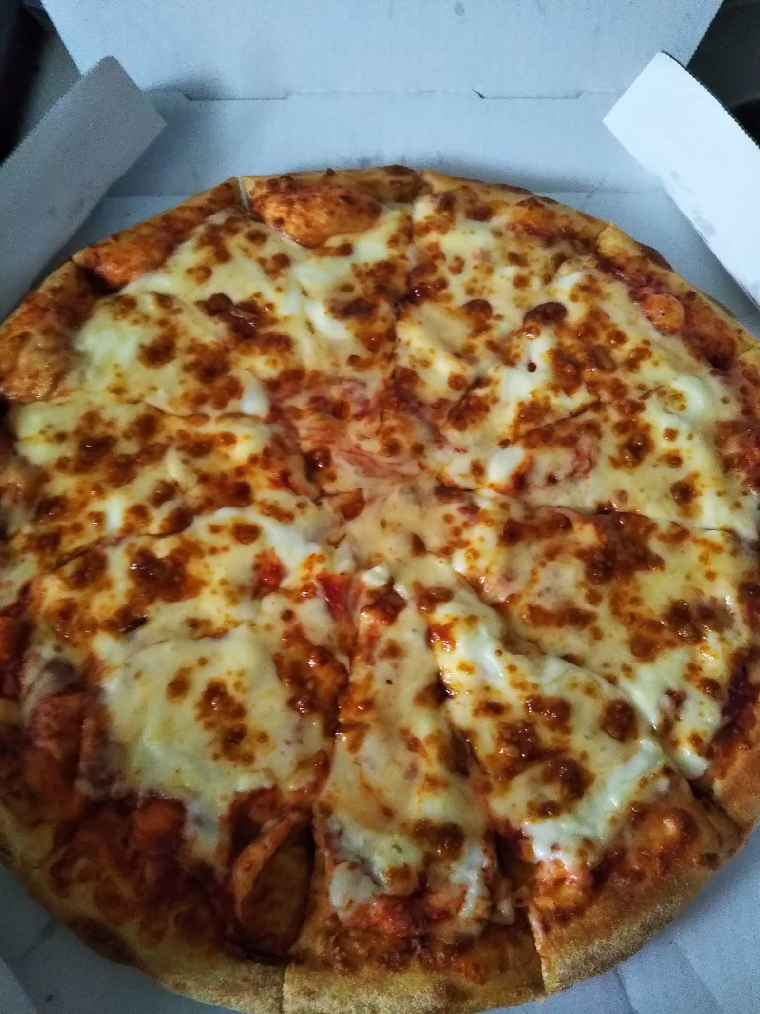 アリカ 実は今まで猫を飼っていると散々言ってきましたが全て嘘でした 騙していてすみません 本当はハムスターを飼っています こんな感じでうちの子はちょっと大柄 写真だと分かりにくいかもしれませんが食べているのはヒマワリの種ではなく梅干しの種