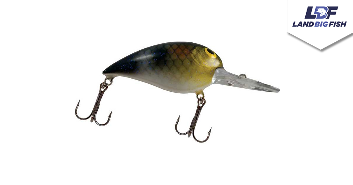 land big fish tackle