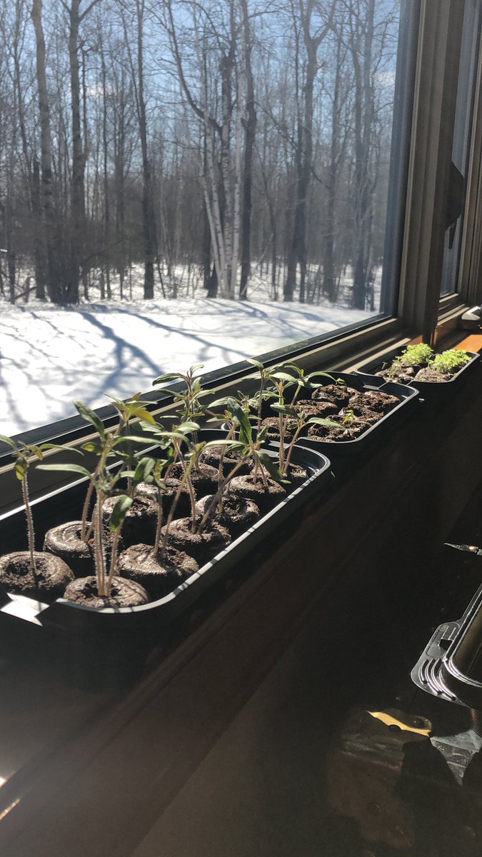 My quarantine hobby.... what’s yours?