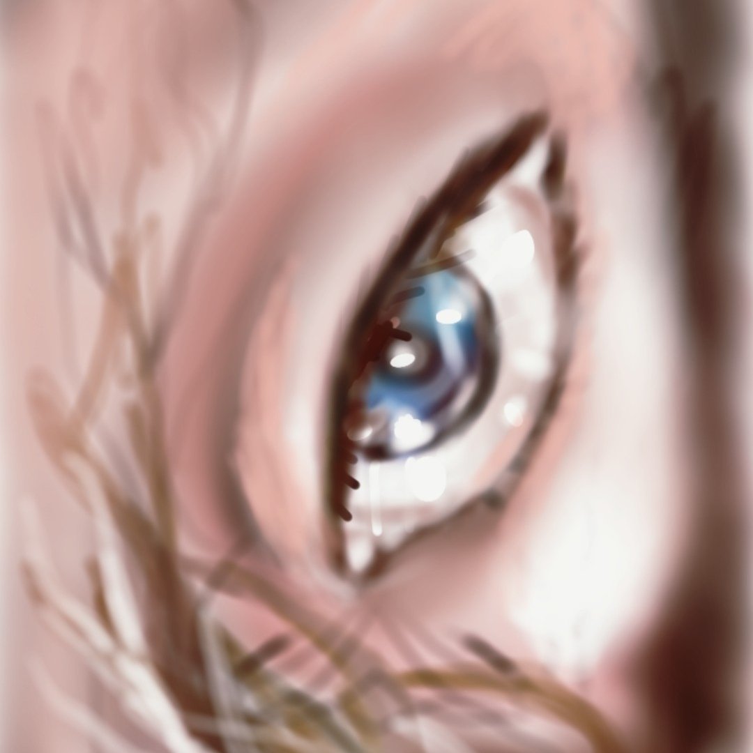 #صورة_ملف_شخصي_جديدة