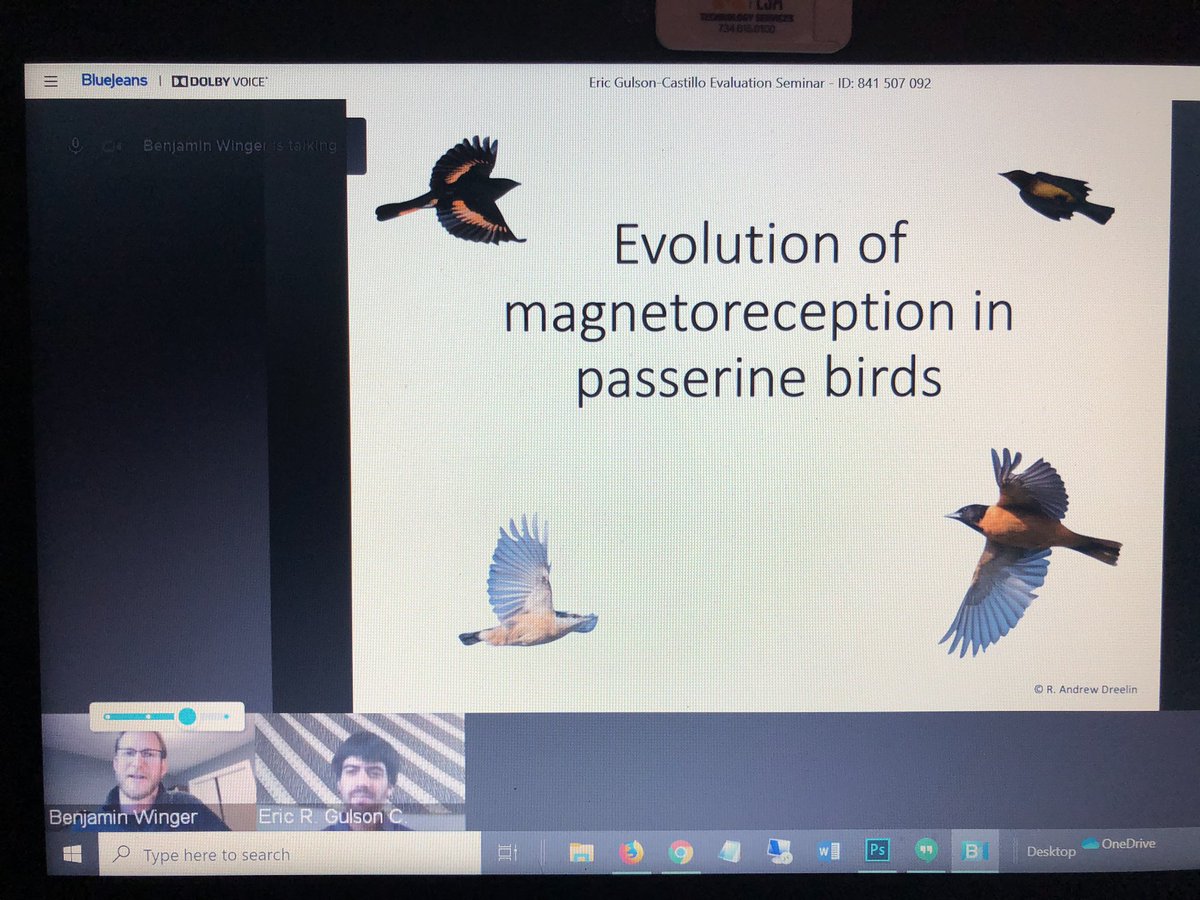 UMich Ecology and Evolutionary Biology tweet media