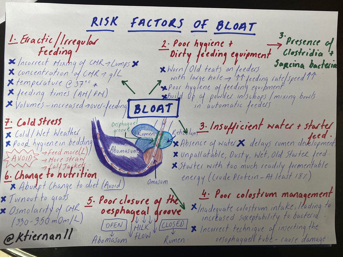 ktiernan11's tweet photo. Noticed a Increased incidence of bloat in calves over the last few days. Here’s a short summary of the risk factors of bloat #farm365 #calfnutrition #getyourglasses @TrouwNutr_IRE @TrouwNutr_GB https://t.co/ktuytCzT9W