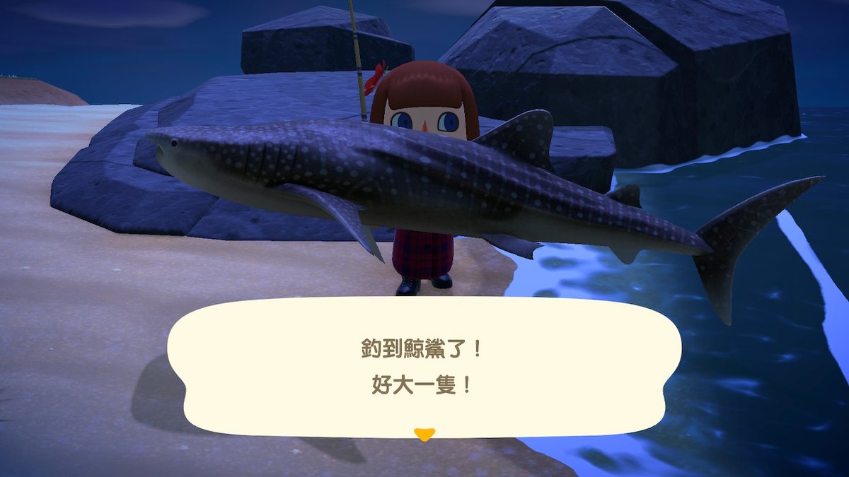 #動物森友會 #AnimalCrossing #ACNH #NintendoSwitch