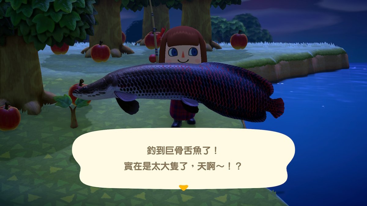 #動物森友會 #AnimalCrossing #ACNH #NintendoSwitch