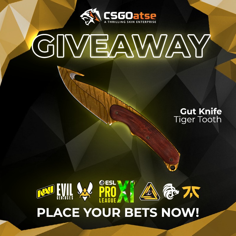 CSGOatse tweet media