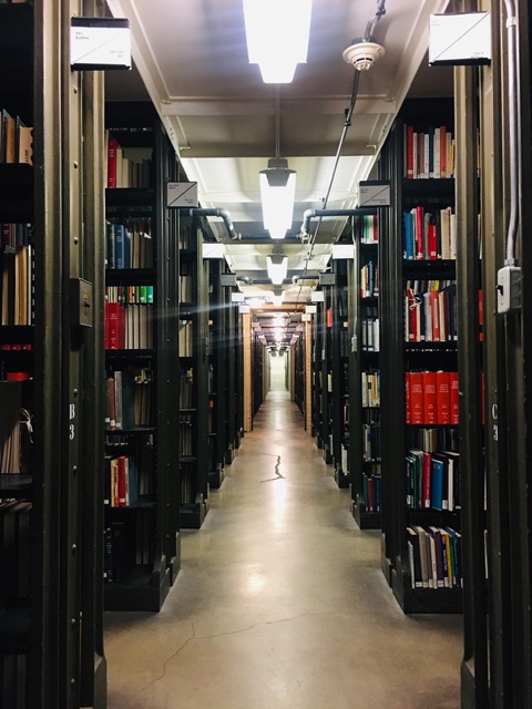 ILLINOISstacks's tweet photo. We miss the Stacks and we know you do too 📙💙 Although we're not currently walking the hallowed halls of our 10 story book palace, staff are here for you #ILLINI! 

Email us at circlib@library.illinois.edu! 

#ILLINOISlibrary #WeMissYou https://t.co/C4SK1MUnVH