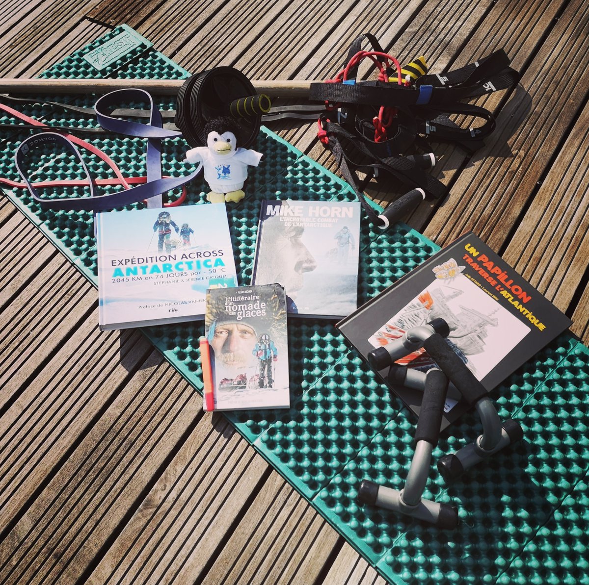 chrispaps1527's tweet photo. Entre lecture et sport,
Rikiki essai de gérer au mieux son confinement et sa préparation pour l'aventure Antarctique.
Egalement par esprit de solidarité il s'est porté volontaire pour aider les CHU du 31, sa municipalité et les pompiers entant qu'ancien sapeur pompier volontaire. https://t.co/RAfZbQA7EC