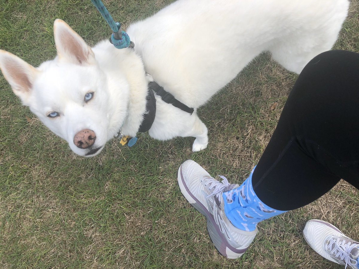 Lindsay Herrin tweet media