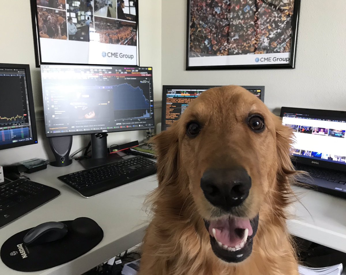 BaileyBlakley's tweet photo. Working hard today! https://t.co/KHohpgntjX