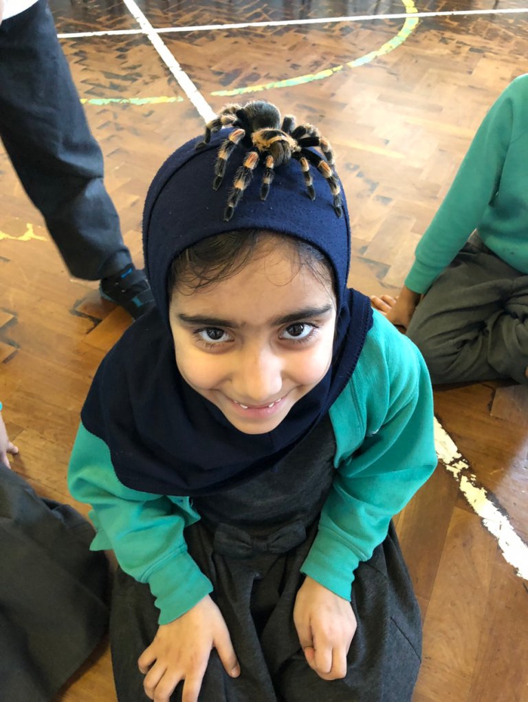 Nansen Primary tweet media