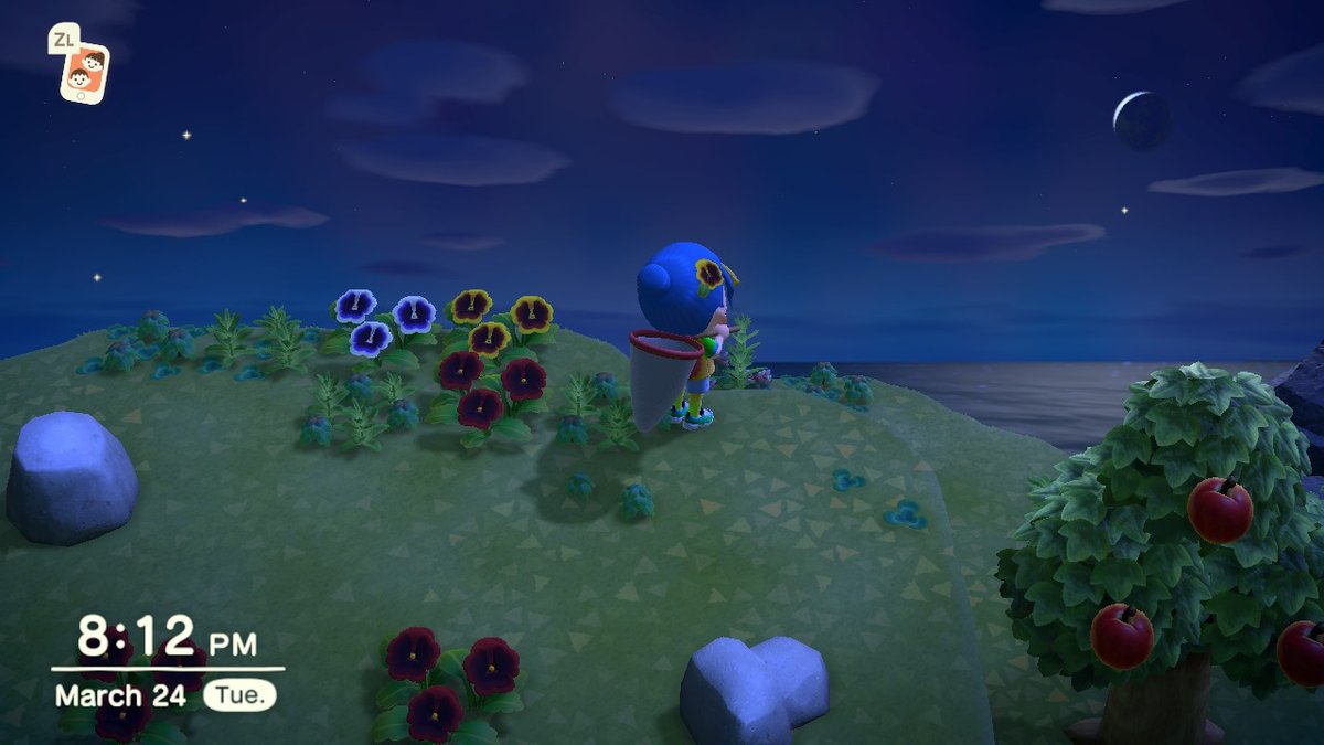 wowilicious's tweet photo. i love that the moon changes #AnimalCrossing #ACNH #NintendoSwitch https://t.co/VmWpg5bMSl