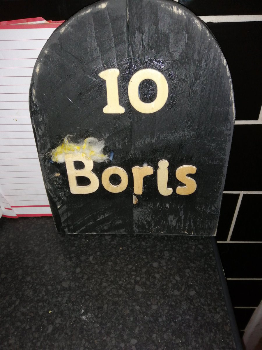 fairysawdust's tweet image. @BorisJohnson @fairysawdust comming to the #kingmoor woods #FAIRYTAIL this week #handmade #fairydoor a little bit of a tribute to our great #PrimeMinister #rainbowsofhope