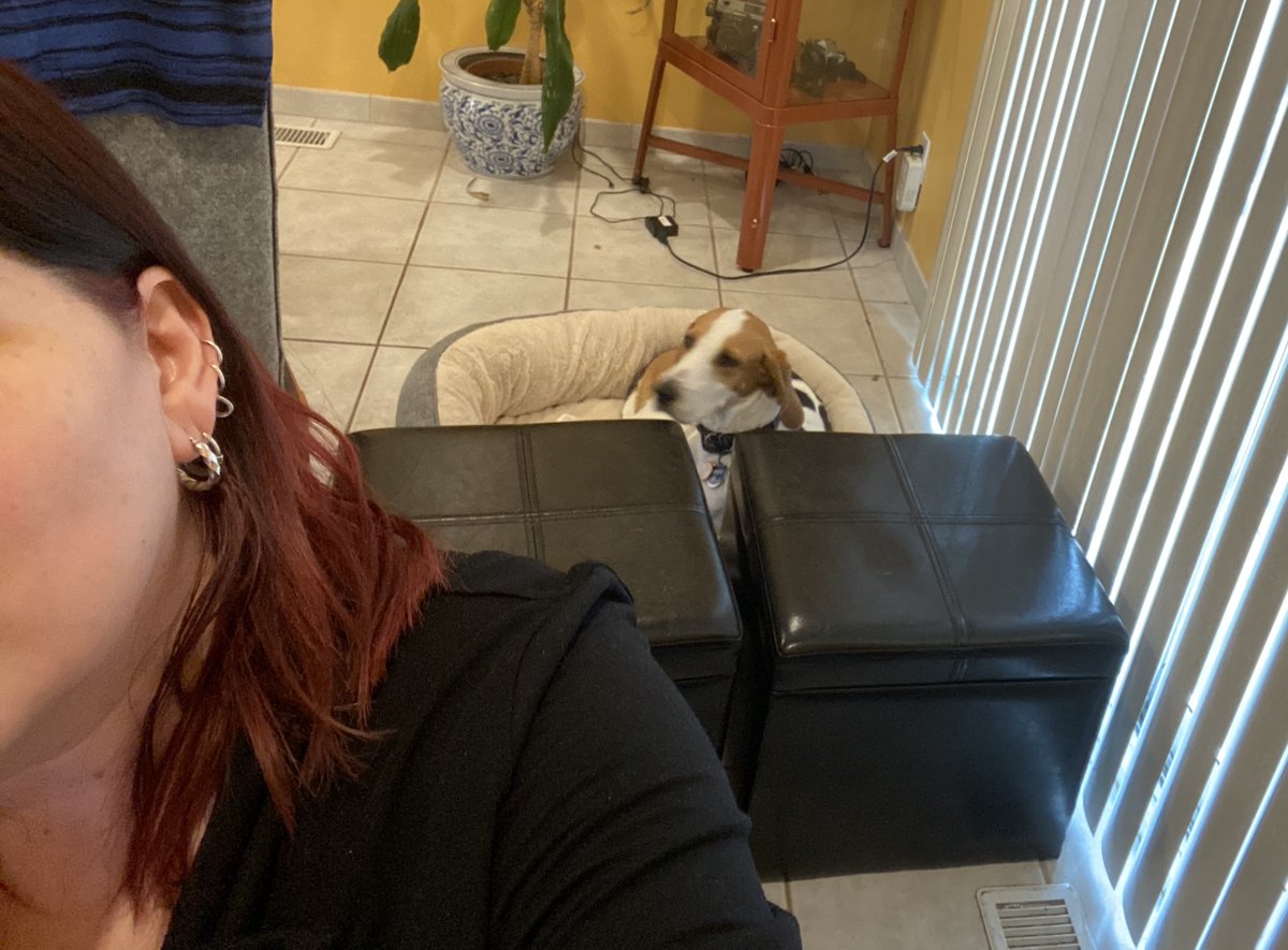 ZeliaMCT's tweet photo. My workspace today & coworker! It's been busy coleading webinars, Q&A during office hours & getting ready to connect with our class community @McM_MsT. Grateful for AMAZING team I am privileged to work with #HTDLL @EDUholtz27 @msjyon @ccatwell @MahfuzaLRahman @jasontries #tdsbdll https://t.co/rnDAIWE9Sp