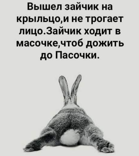 87% украинцев видят в коронавирусе реальную угрозу, - опрос - Цензор.НЕТ 4414