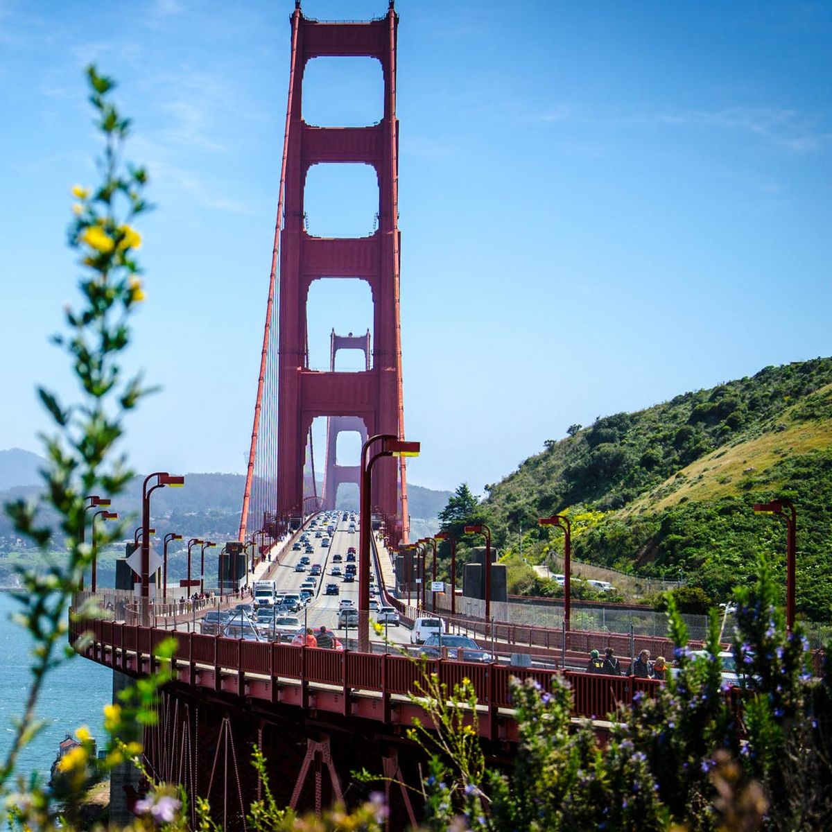 hoteldivasf's tweet photo. Did you know our City offers #FREE #wakingtours of some of #SanFrancisco best #attractions The amazing #volunteer #SFCityGuides  have many options available throughout the week! Just ask our #concierge for more info 😉 Book your #dreamvacation today https://t.co/zu5mVeqNuR https://t.co/TtwoKMDNvc