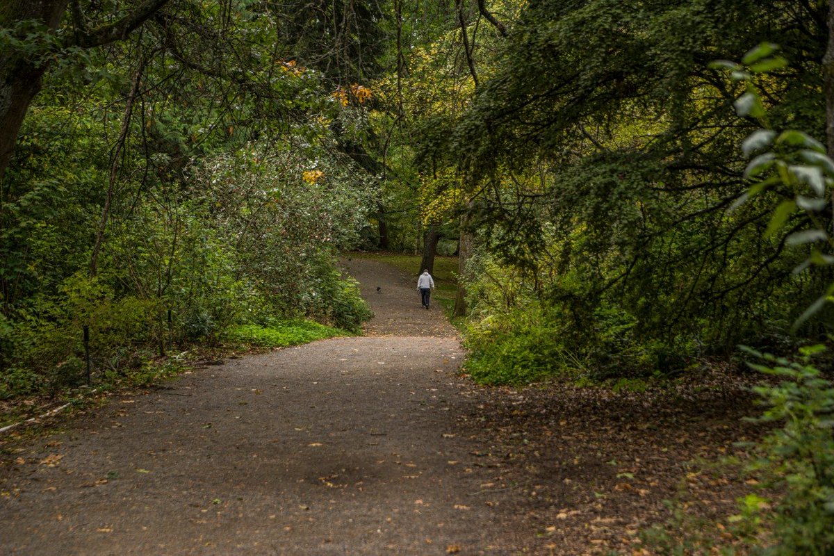 SeattleParks's tweet photo. Heads up: The Japanese Garden and the Graham Visitor Center are currently closed. However the Washington Park Arboretum grounds are open. Feel free to visit but please do not congregate, and please follow public health guidelines. #SocialDistrancing #StressRelief #Nature https://t.co/2Wz91n4X6B