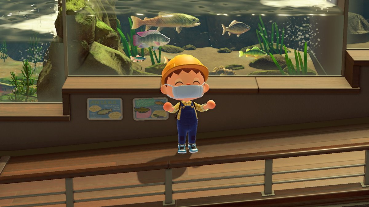 #AnimalCrossing #ACNH #NintendoSwitch