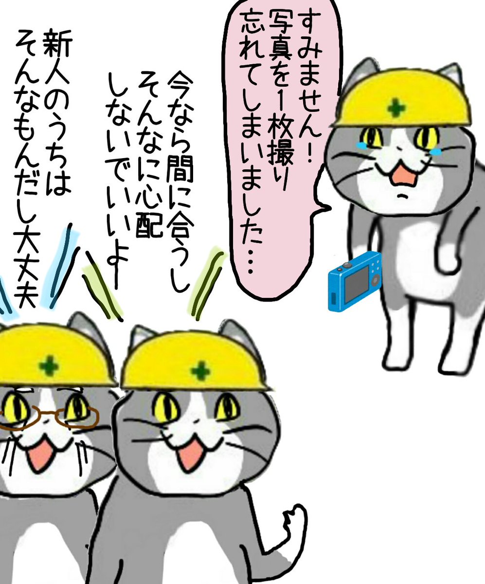 ミスは隠すより早めに謝った方が往々にしてうまくいく #現場猫 