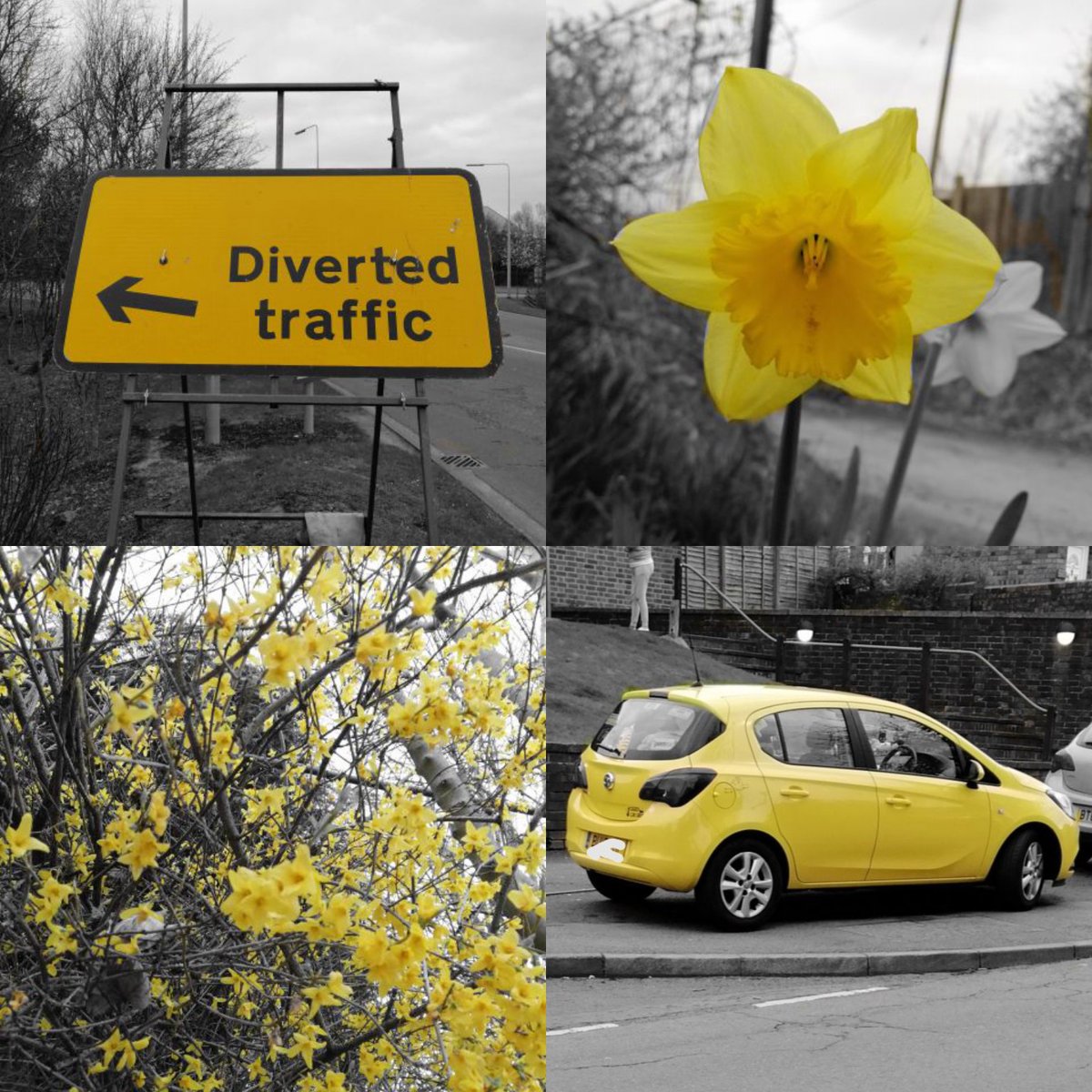 kjparkes's tweet photo. Walked 9km today and photographed everything that I saw that was yellow... 💛 A lovely mental wellbeing activity... Takes your mind off everything else for a while! ☀️ https://t.co/gDnw3y1PQk