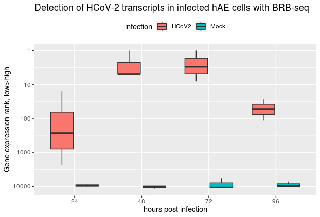 Daniel Alpern (@satyagrakha) on Twitter photo Our exciting work together with <a href="/DijkmanRonald/">Ronald Dijkman</a> shows that we can reliably detect #HCoV2 viral transcripts in infected human cells using BRB-seq (tinyurl.com/y3l5hut8) even at the early stage. Affordable #transcriptomics opens a great perspective for mass #COVID19 diagnostics Our exciting work together with <a href="/DijkmanRonald/">Ronald Dijkman</a> shows that we can reliably detect #HCoV2 viral transcripts in infected human cells using BRB-seq (tinyurl.com/y3l5hut8) even at the early stage. Affordable #transcriptomics opens a great perspective for mass #COVID19 diagnostics