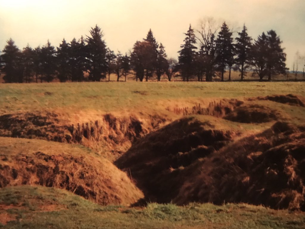 AllisonBTimmins's tweet photo. The #DangerTree, #NoMansLand, and the #trenches at #BeaumontHamel. The final picture is of three of my English students who found artifacts in the field, #shrapnel included. These now-faded photographs were taken with a disposable film camera #otd in March, 2000. https://t.co/thbXQHI9pJ