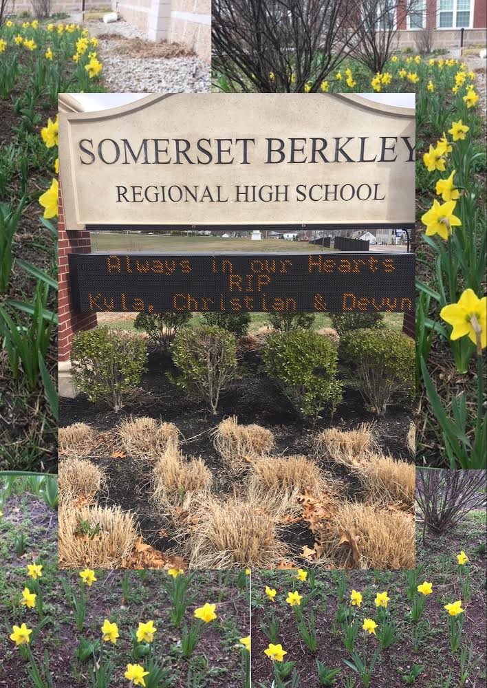 SBRHSBrels's tweet photo. https://t.co/LBkqgQ7WVo