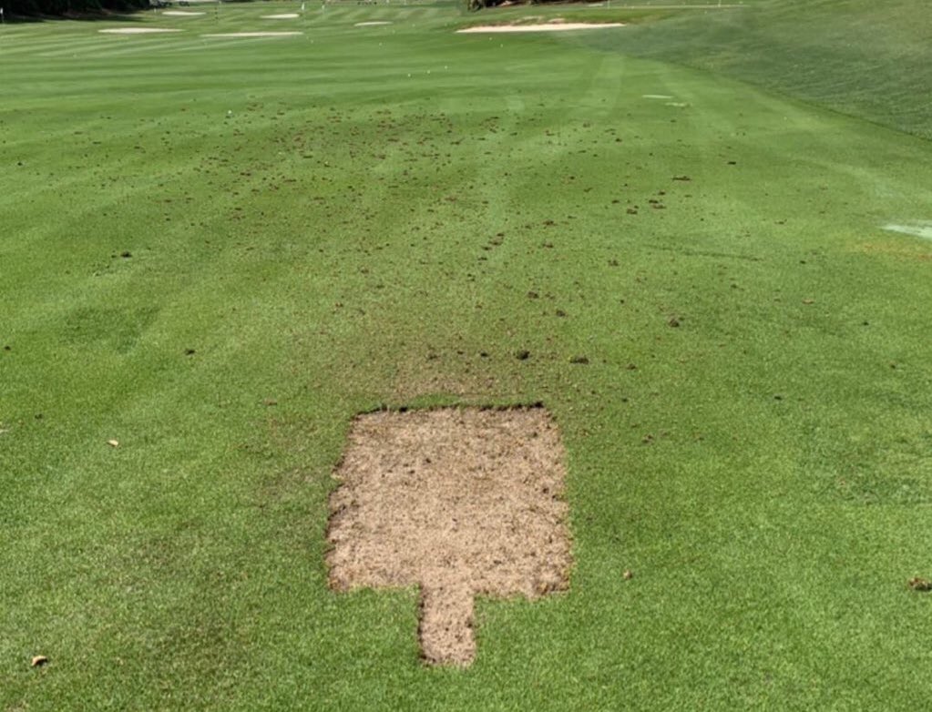 Alex Noren’s practice divot game 😍