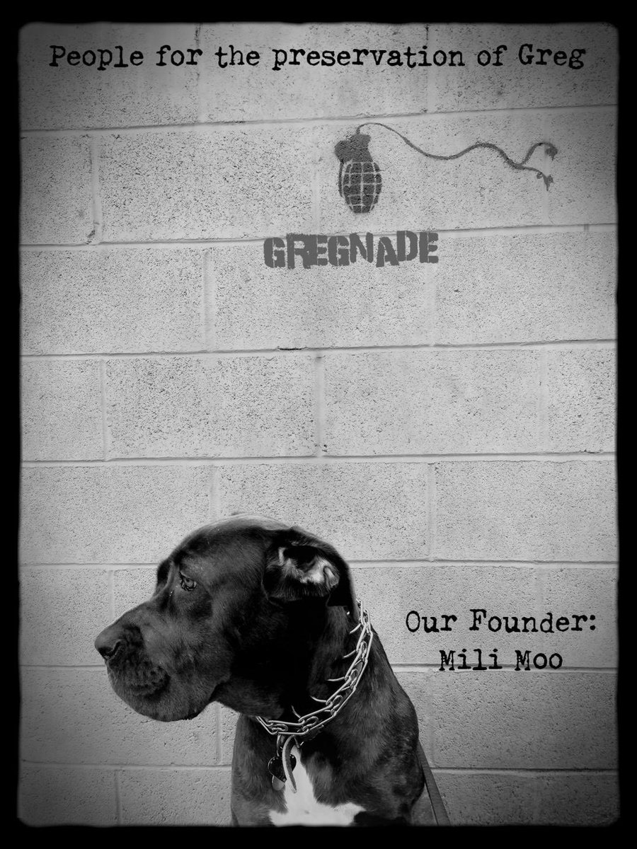 gregtivities's tweet photo. It is with great sorrow that we announce the passing of the founder of People for the Preservation of Greg, Mili Moo. She was the goodest girl and above all, a true people. #PeopleForThePreservationOfGreg #Mili #Moo #KeepGregSafe #Gregnade #Greg #MiliVisitsTheConcreteJungle https://t.co/gqs4Ph2q4U