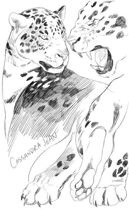 I really enjoy the real pencil in Clip Studio its very soft. 