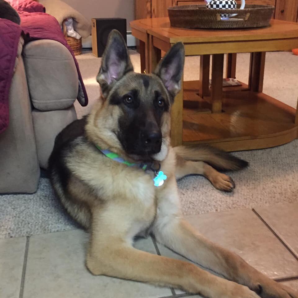 MudgeBailey's tweet photo. @cassie_herman :) https://t.co/AaPprnB4hY