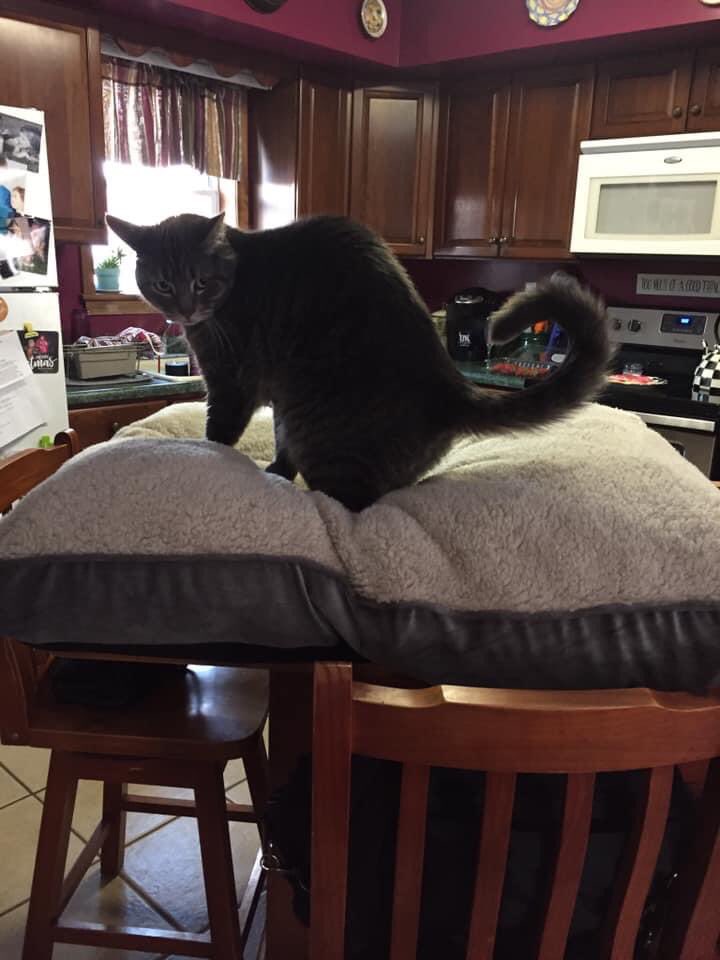 MudgeBailey's tweet photo. @cassie_herman :) https://t.co/AaPprnB4hY