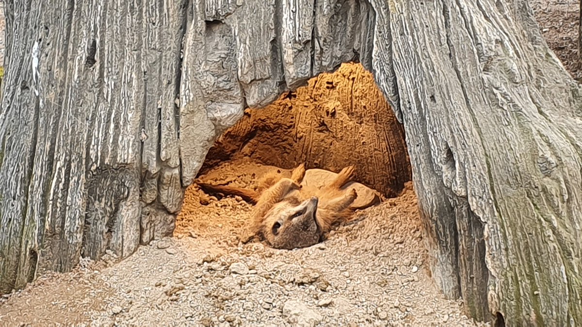 Was passiert gerade.......................nichts.