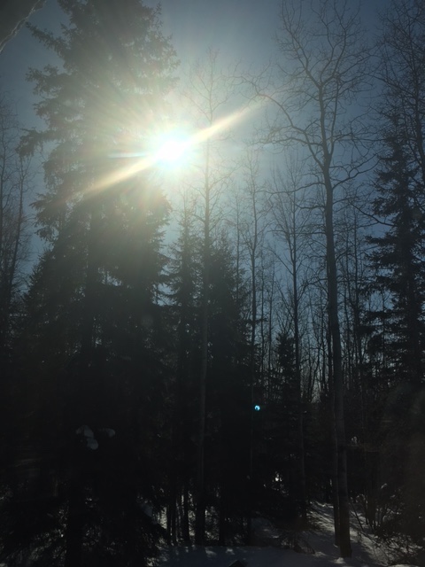 letsinclude's tweet photo. The sun shines on all in #socialdistancing #coronalockdown #StayAtHomeAndStaySafe https://t.co/pMKpJbyUVy