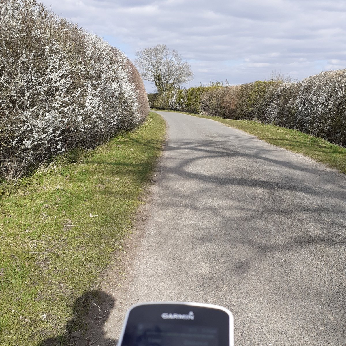 SkyTedTravels's tweet photo. Lovely solo spin out....
Spring is coming.....and a quiet M4 near Reading. 
#TheLockdown #COVID19 #solo #springiscoming #M4 #Readingservices https://t.co/bbiRDh6Hkh