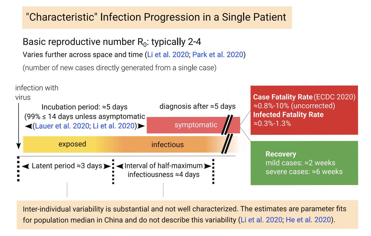We describe a “typical” individual time course of infection, but it is important to understand that there is large inter-individual variation.