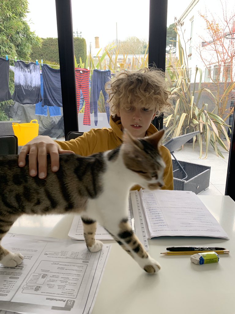 ECJS_6B's tweet image. 🏠 HOME LEARNING📚

Sometimes it is great to have a helping hand whilst learning at home, just to make sure you’re doing it purrfectly! Great photo Ethan 😄
