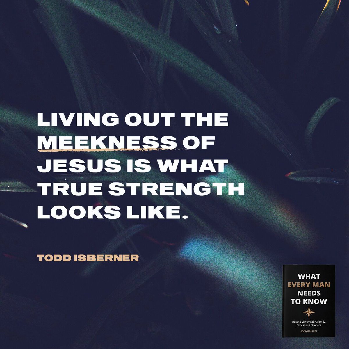 Meekness is an interesting word, isn't it? What does meekness look like to you, how do you live it out? What does it mean to you?