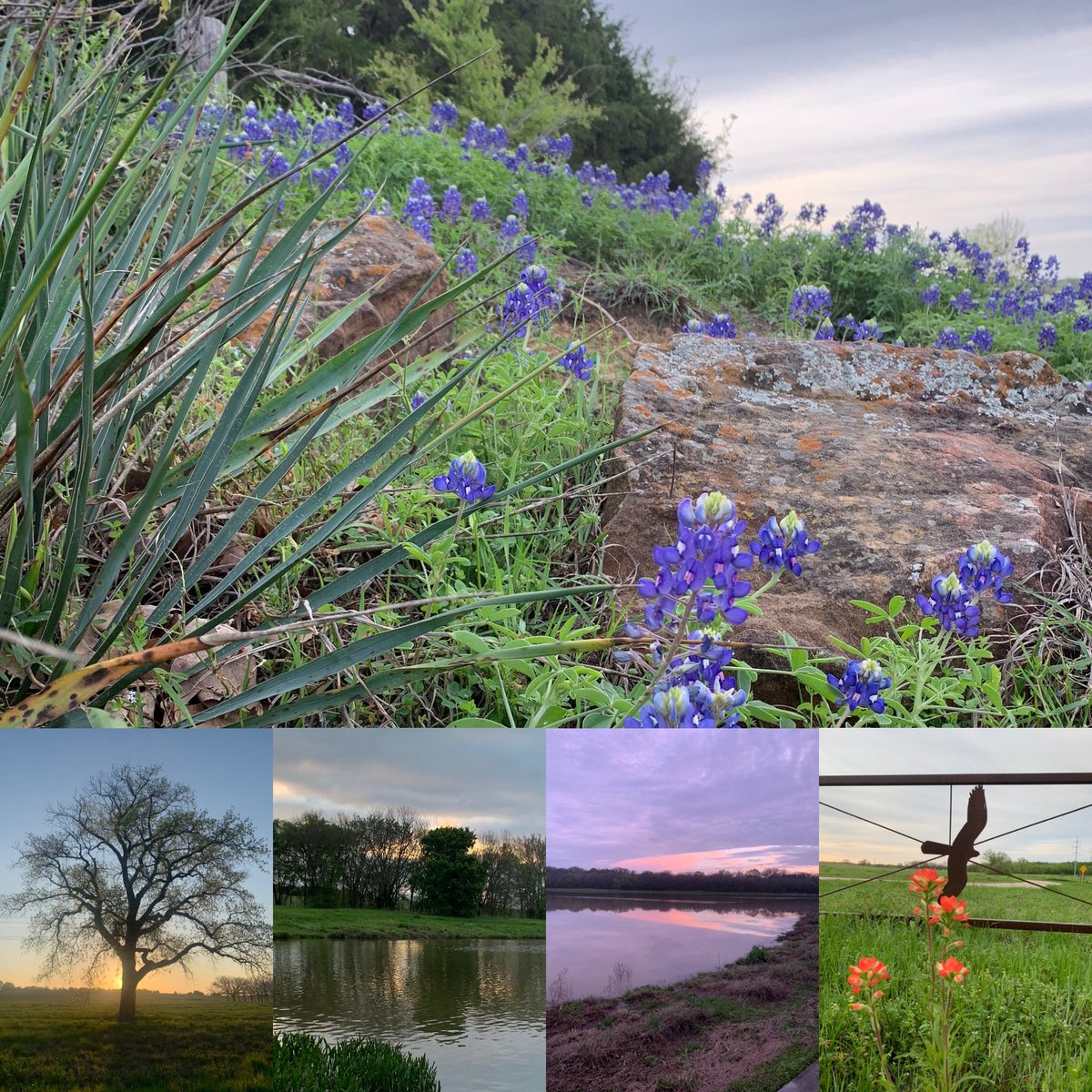 sksmileyAT's tweet photo. Adopt the pace of nature. Her secret is patience. - Ralph Waldo Emerson. https://t.co/isKaHkULet