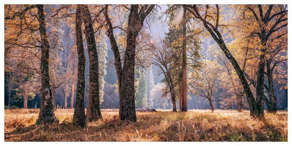 jcornishgallery's tweet photo. Just a reminder that every fortnight we will be featuring new work by our Gallery Photographers. We're currently featuring the work of Charles Cramer here: https://t.co/XP4uGpiwK1

#joecornish #joecornishgalleries #charlescramer #landscape #photography #artcraftsoul #staysafe https://t.co/Ako0GKKib9