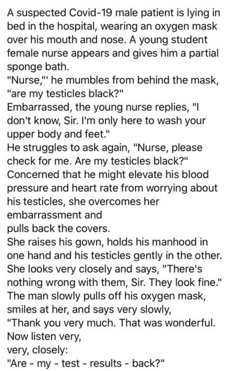 Official An2 Club tweet media