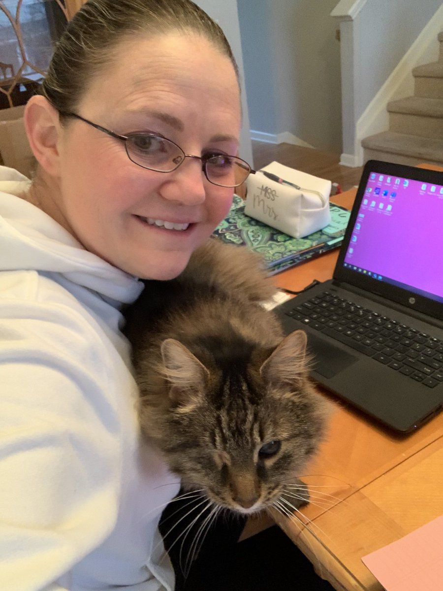 MrsPicilloRHS's tweet photo. Nemo decided he wanted to teach Algebra this morning!!!  💜😺💜 https://t.co/EBmtUB8hbq