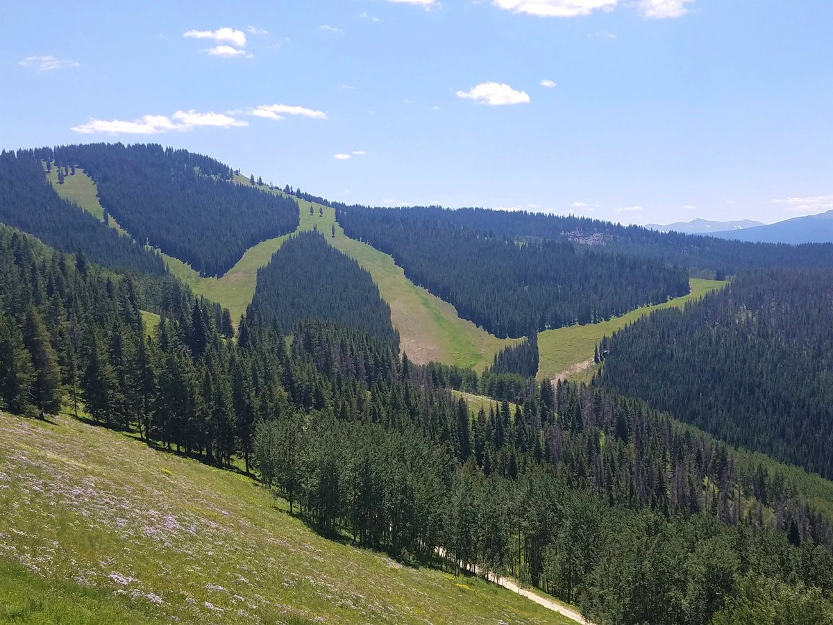In preparation for #summer, we would like to thank all of our guests and our community for a fantastic, albeit shortened, 2019-20 ski season. Until you are ready for your next mountain getaway, we continue to wish you health, safety &amp; rest. #InThisTogether VailValleyGetaway.com