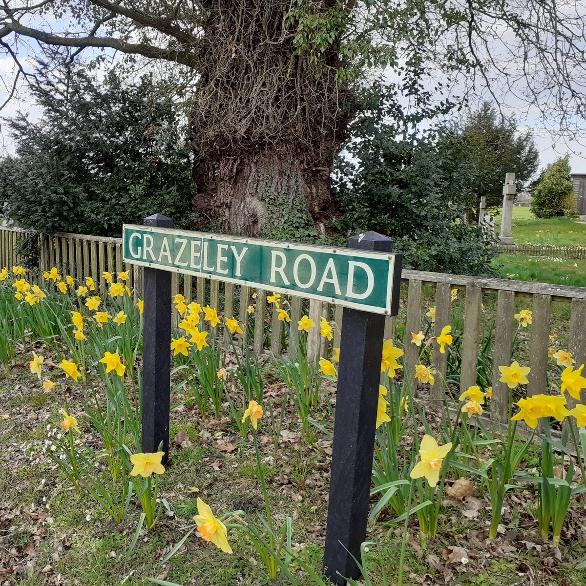SkyTedTravels's tweet photo. Lovely solo spin out....
Spring is coming.....and a quiet M4 near Reading. 
#TheLockdown #COVID19 #solo #springiscoming #M4 #Readingservices https://t.co/bbiRDh6Hkh