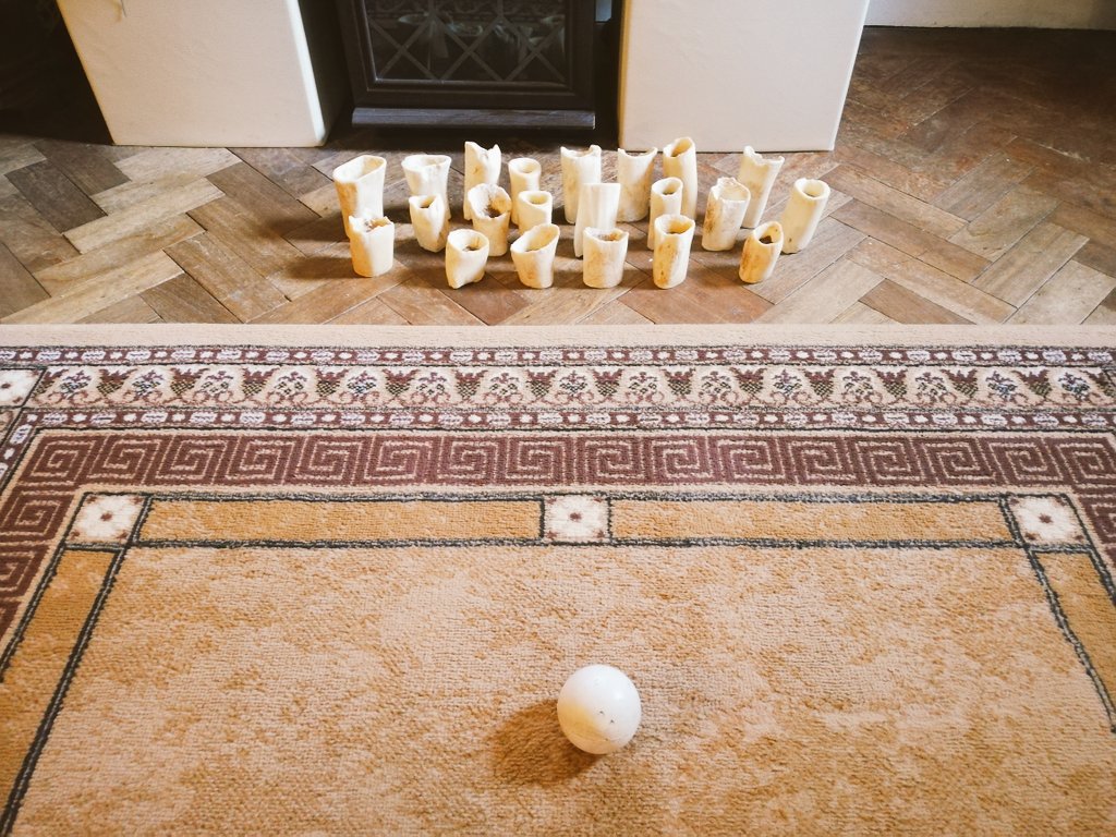 LauraBrambles's tweet image. Things to do during quarantine time #1
Dog bone bowling 😏