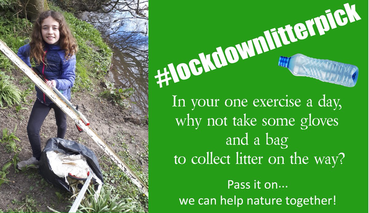 #lockdownlitterpick