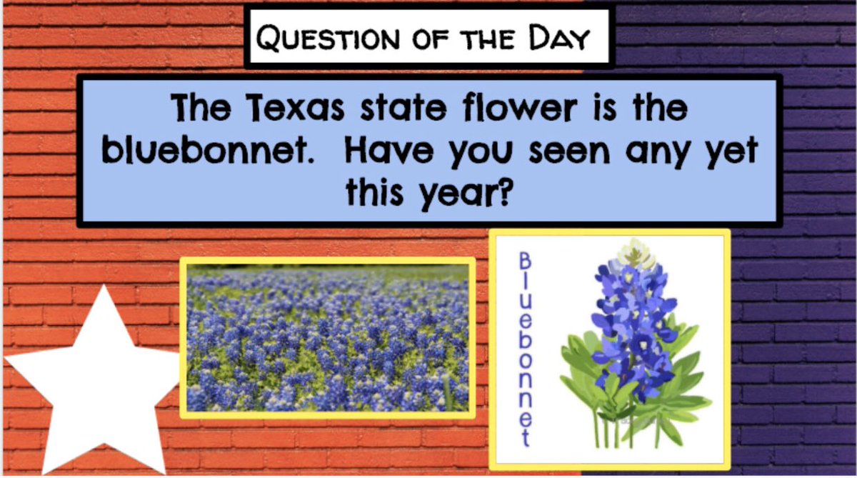 McKinder's tweet photo. Kinder kids learning about bluebonnets today! #misdproud #mpempower https://t.co/ReJo3YXLdL
