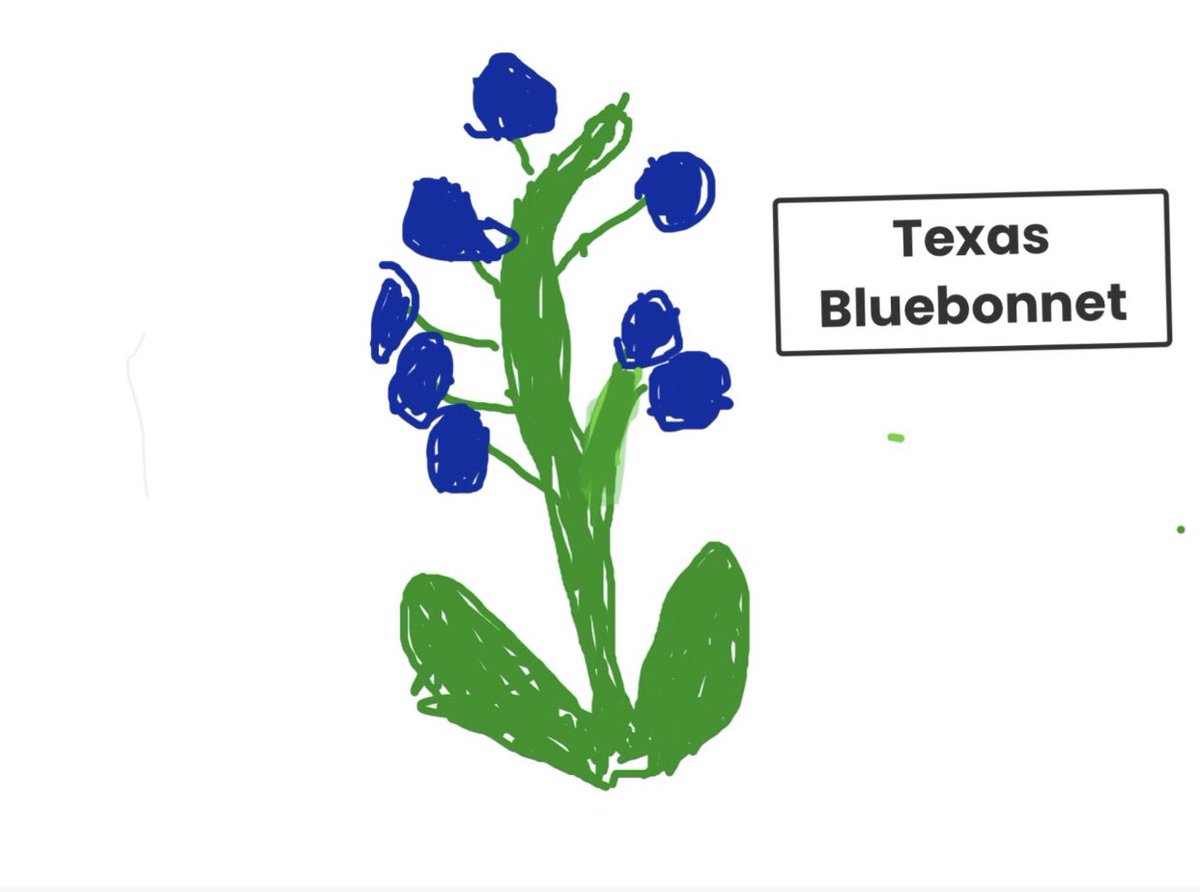 McKinder's tweet photo. Kinder kids learning about bluebonnets today! #misdproud #mpempower https://t.co/ReJo3YXLdL