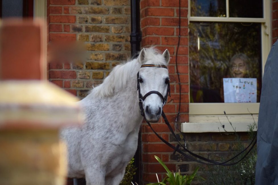 The Londoners tweet media
