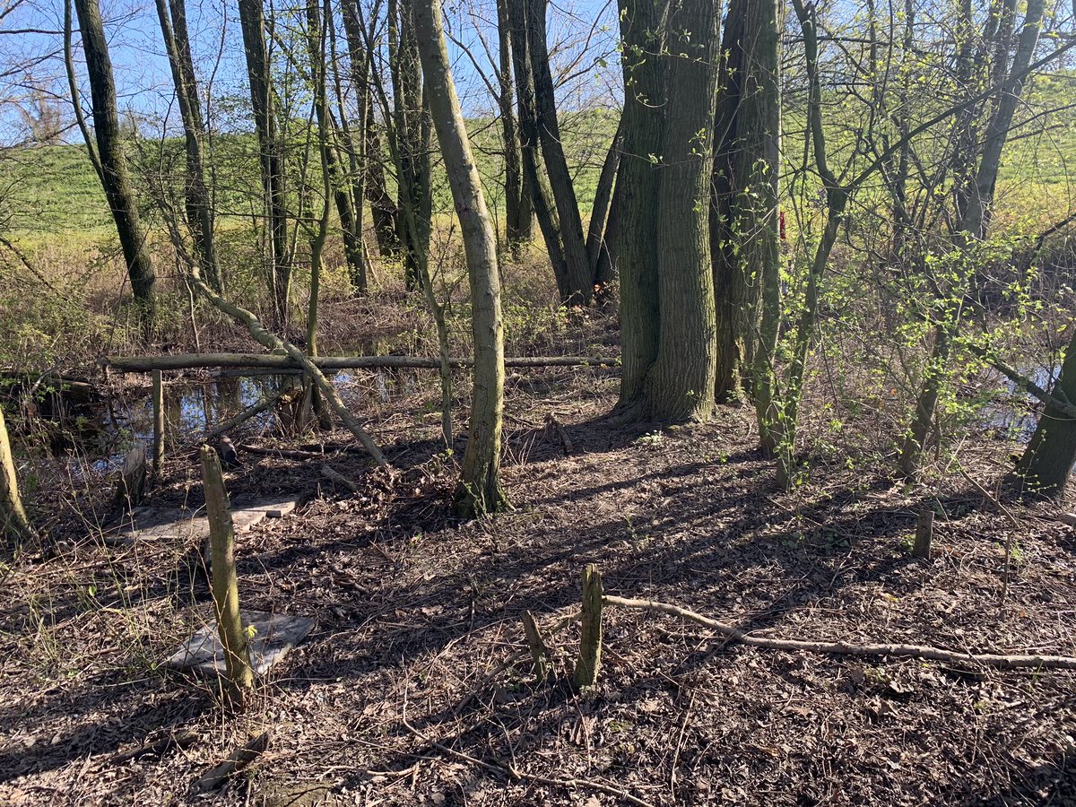 Janet_Adham's tweet photo. Onderdeel van thuisscholing: ruim eens de rommel van een ander op en maak de natuur mooier. Missie geslaagd én voor herhaling vatbaar! @SjorsFrohlich @5heerenlanden https://t.co/SWa9GlkK0v