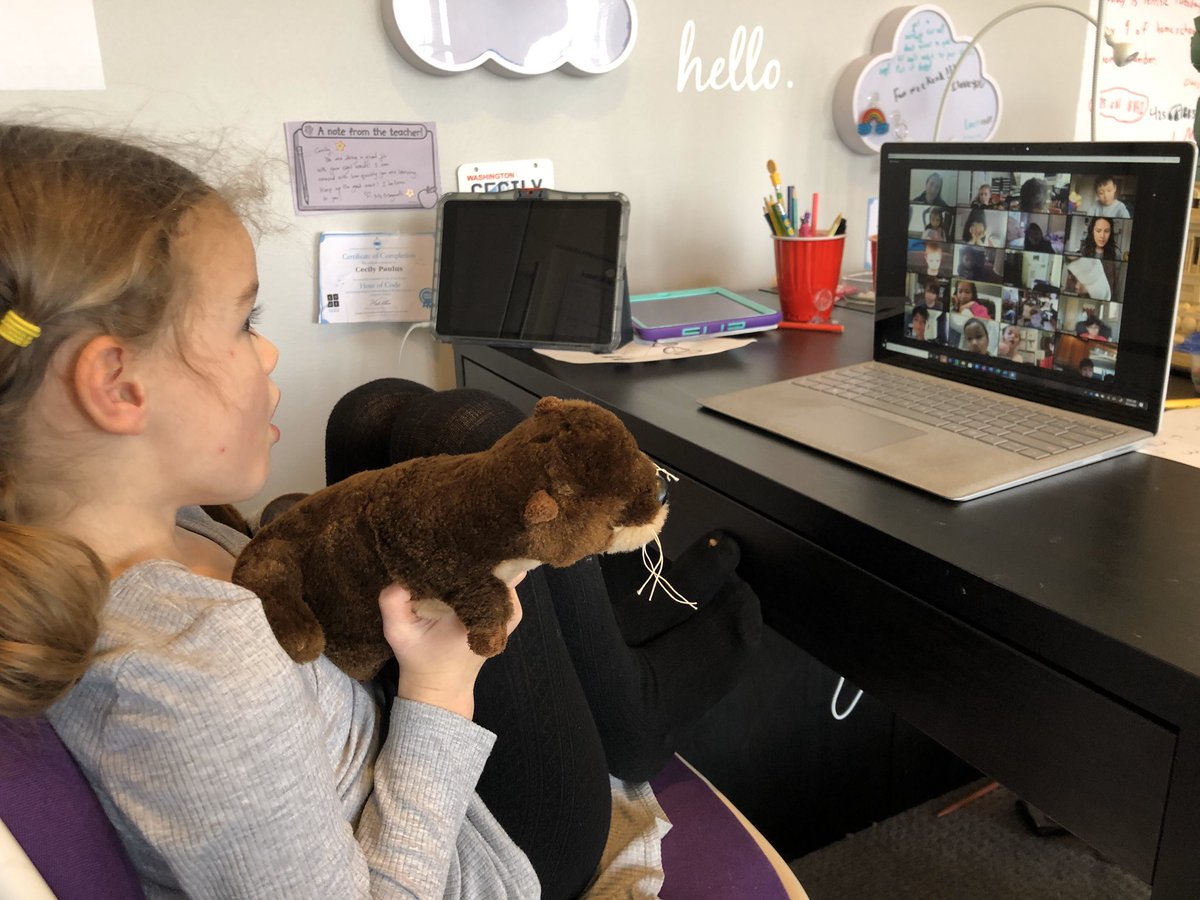 owenpaulus's tweet photo. Today’s @OWSBobcat class meetings. Sharing stuffies and establishing online meeting etiquette. Maybe I should do this at work. https://t.co/mKNZjbYoLf
